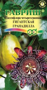 Семена Пассифлора четырехгранная Гигантская гранадилла, 3шт, Гавриш, Цветочная коллекция