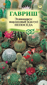 Семена Эхиноцереус шарлаховый (кактус) Непоседа, смесь, 0,05 г, Гавриш, Цветочная коллекция