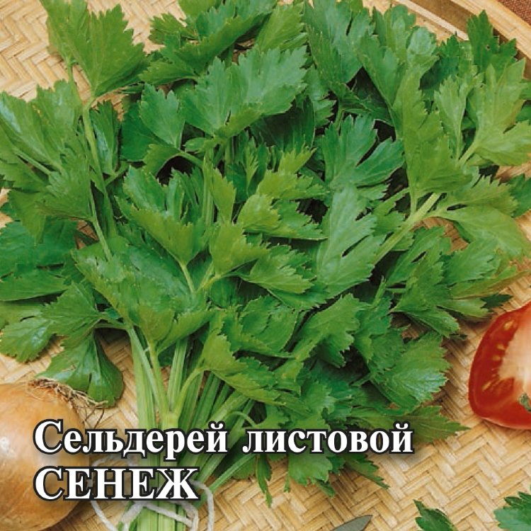 Семена Сельдерей листовой Сенеж, 25г, Гавриш, Фермерское подворье по ...
