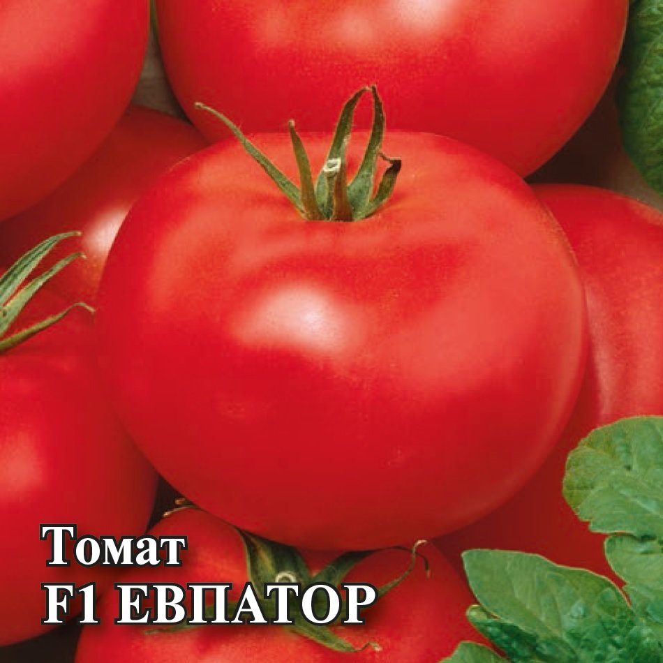 Семена томаты евпатор порно молодые семя