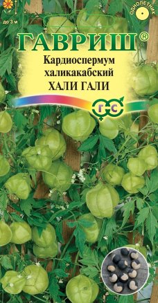 Семена Кардиоспермум халикакабский Хали-Гали, 1,0г, Гавриш, Цветочная коллекция