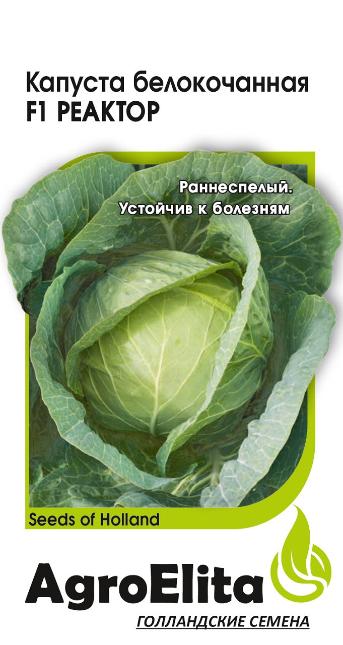 Купить Семена Капусты Голландской Селекции