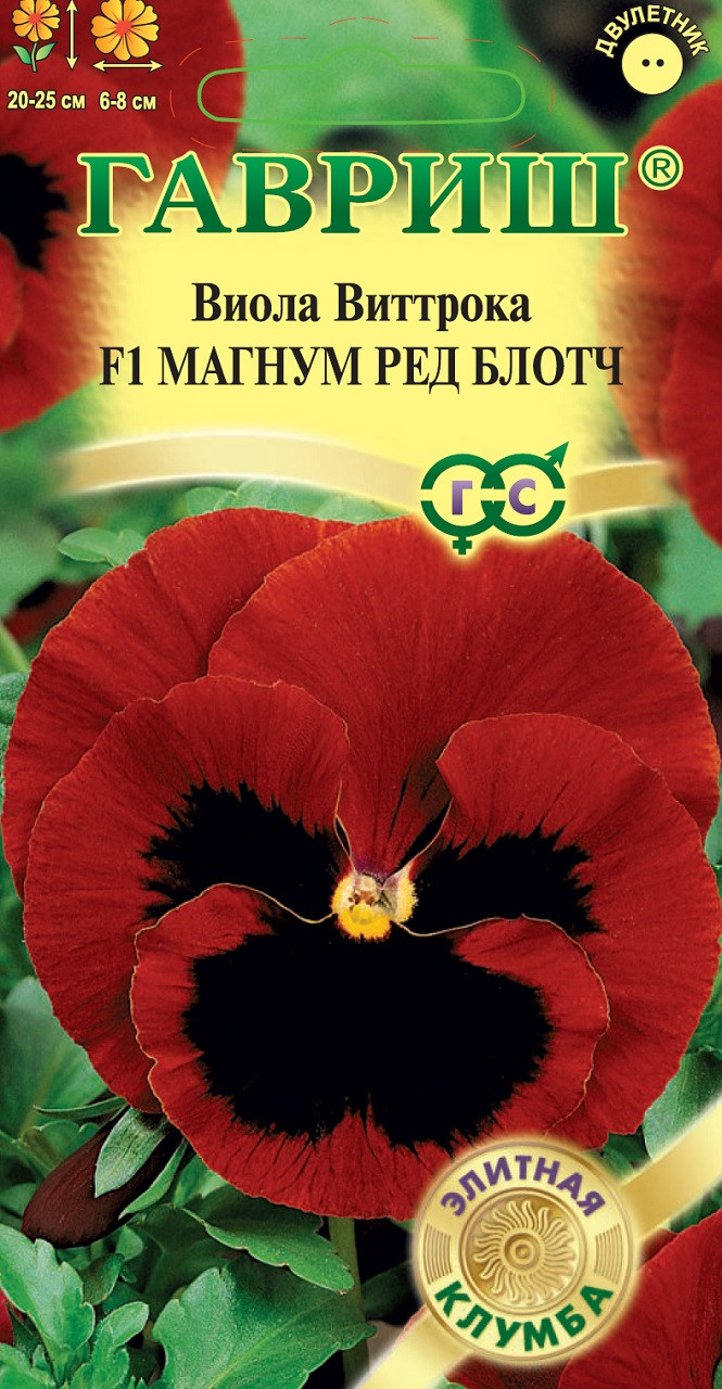 Семена Виолы Купить В Интернет Магазине