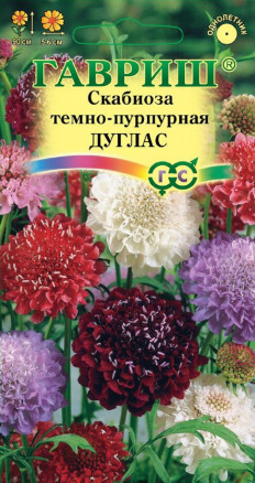 Семена Скабиоза Дугласа, смесь, 0,5г, Гавриш, Цветочная коллекция