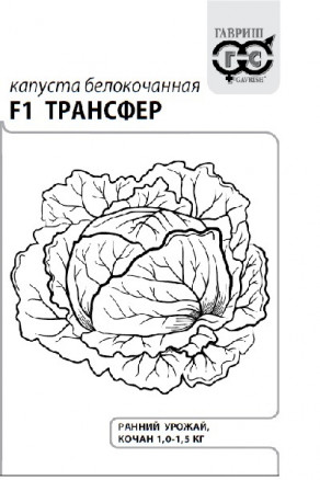 Семена Капуста белокочанная Трансфер F1, 0,05г, Гавриш, Белые пакеты