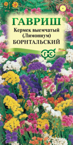 Семена Лимониум Борнтальский, смесь, 0,1г, Гавриш, Цветочная коллекция