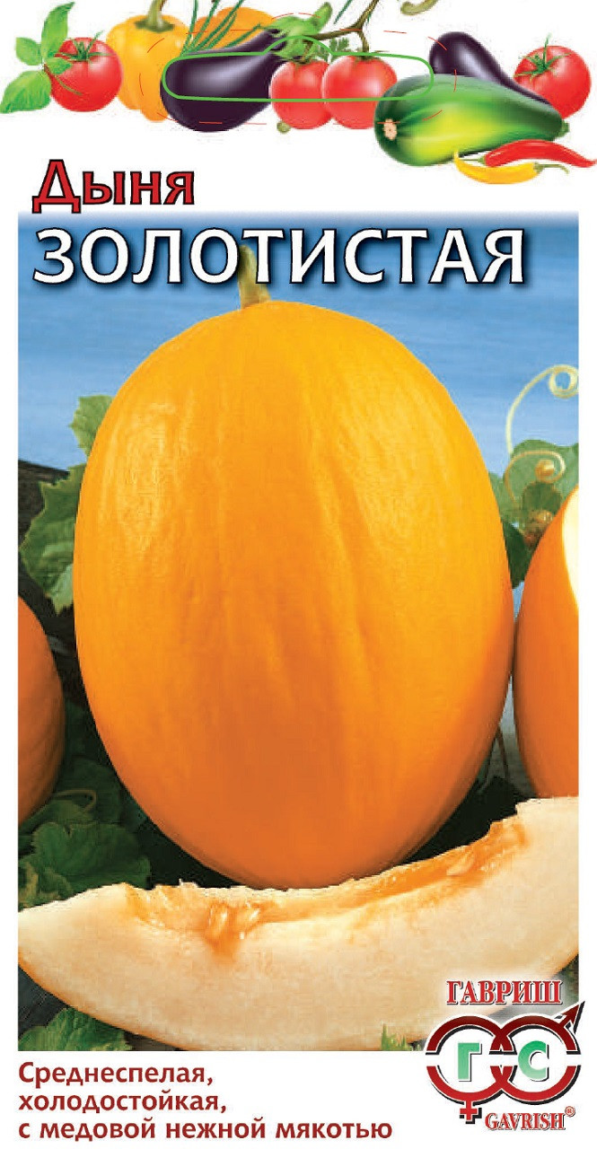 дыня золотистая. семена. дыня золотистая. дыня голден джейд. дыня сорт золотистая.