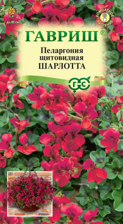 Семена Пеларгония Шарлотта, 3шт, Гавриш, Цветочная коллекция