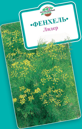 Семена Фенхель обыкновенный Лидер, 0,5г, Гавриш, Лекарственная