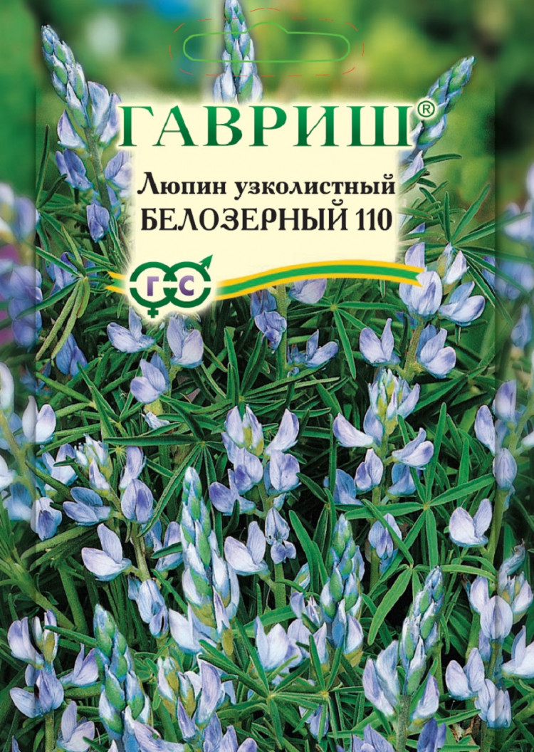 Купить Люпин Кормовой Семена