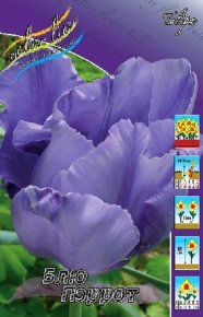 Тюльпан Блю Пэррот (Tulipa Blue Parrot), 10шт, Color Line