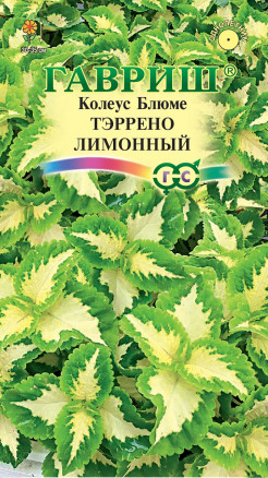 Семена Колеус Тэррено лимонный, 5шт, Гавриш, Цветочная коллекция