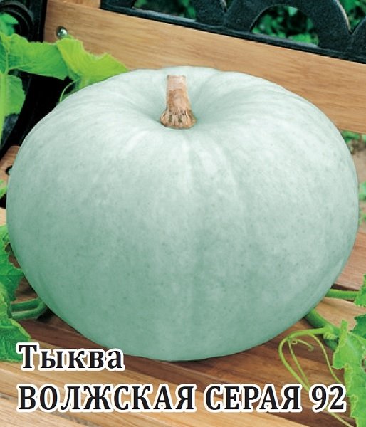 Семена Тыква Волжская серая 92, 100г, Гавриш, Фермерское подворье по ...