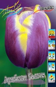 Тюльпан Арабиан Бьюти (Tulipa Arabian Beauty), 10шт, Color Line