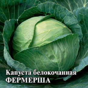 Семена Капуста белокочанная Фермерша, 50г, Гавриш, Фермерское подворье
