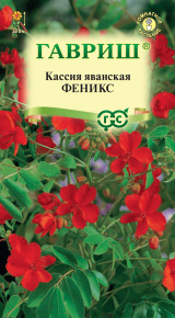 Семена Кассия яванская Феникс, 3шт, Гавриш, Цветочная коллекция