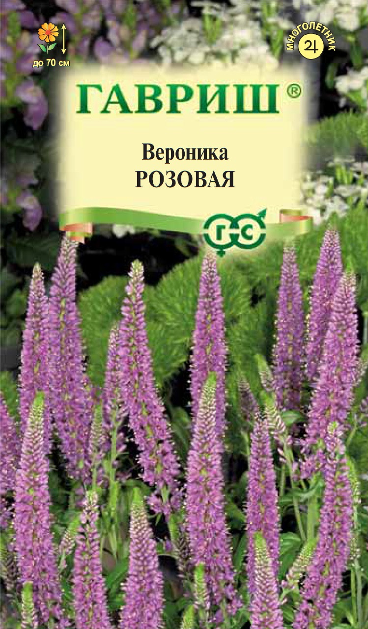 Семена Вероника длиннолистная Розовая, 0,05г, Гавриш, Цветочная ...
