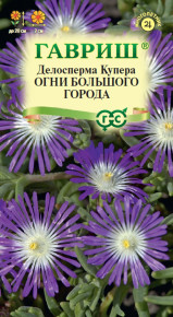 Семена Делосперма Купера Огни большого города, 7шт, Гавриш, Цветочная коллекция