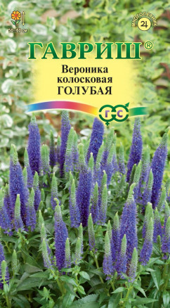Семена Вероника колосковая голубая, 0,1г, Гавриш, Цветочная коллекция