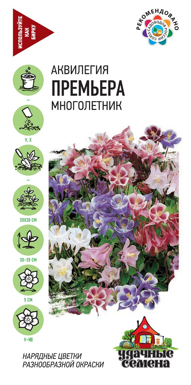 Аквилегия Купить