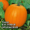 Семена Тыква Кустовая оранжевая, 100г, Гавриш, Фермерское подворье
