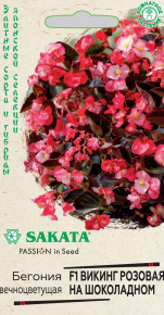 Семена Бегония вечноцветущая Викинг розовая на шоколадном F1, 4шт, Гавриш, Элитные сорта и гибриды, Sakata