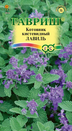 Семена Котовник кистевидный Лавиль, 0,05г, Гавриш, Цветочная коллекция