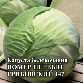 Семена Капуста белокочанная Номер первый Грибовский 147, 25г, Гавриш, Фермерское подворье