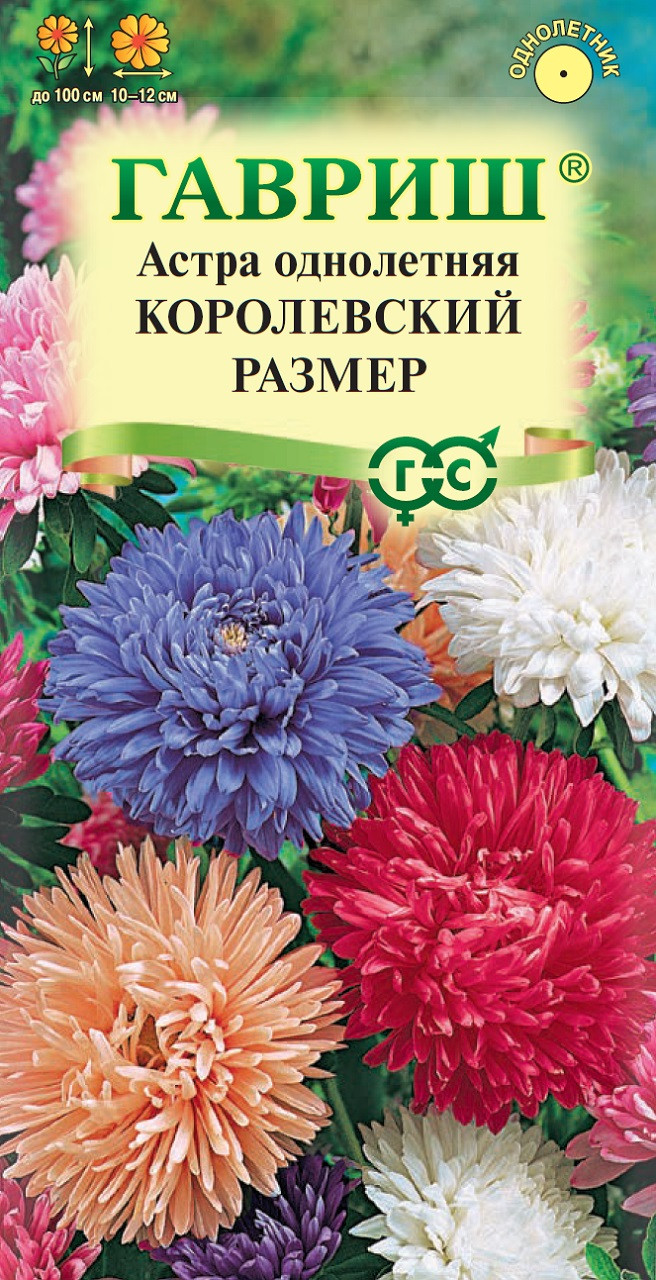 ✓ Семена Астра Королевский размер, смесь, 0,3г, Гавриш, Цветочная коллекция  по цене 21 руб. ◈ Большой выбор ◈ Купить по всей России ✓ Интернет-магазин  Гавриш ☎ 8-495-902-77-18