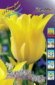 Тюльпан Баллада Голд (Tulipa Ballade Gold), 10шт, Color Line