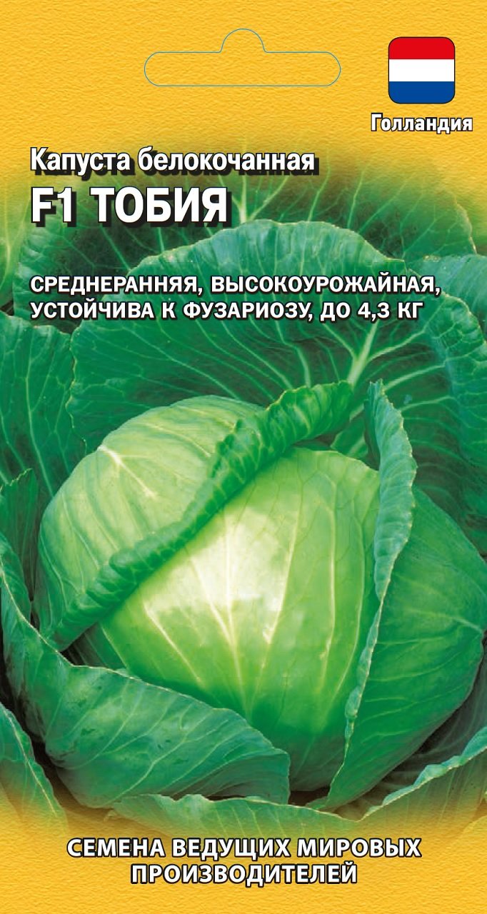 Семена Капусты Зенон Купить