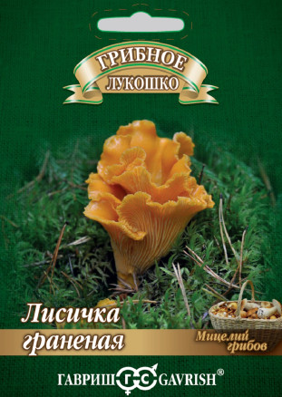 Мицелий Лисичка граненая на зерновом субстрате, 15мл, Гавриш, Грибное лукошко