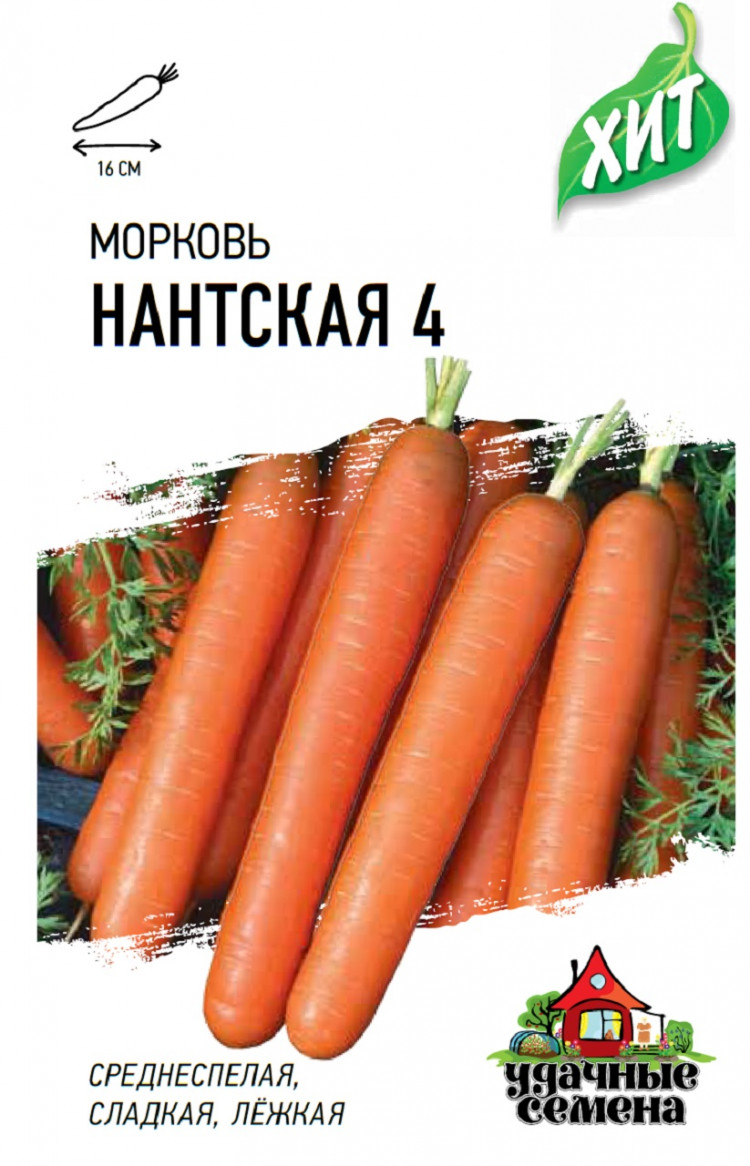 Семена Моркови Купить Оптом От Производителя
