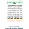 Семена Капуста белокочанная Колобок F1, 25г, Гавриш, Фермерское подворье