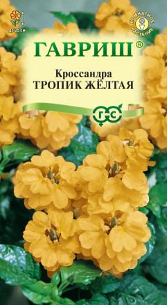 Семена Кроссандра Тропик желтая, 3шт, Гавриш, Цветочная коллекция