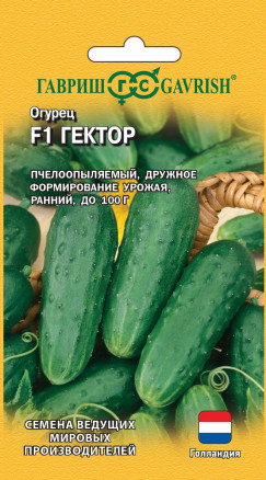 Семена Огурец Гектор F1, 10шт, Гавриш, Ведущие мировые производители, Nunhems