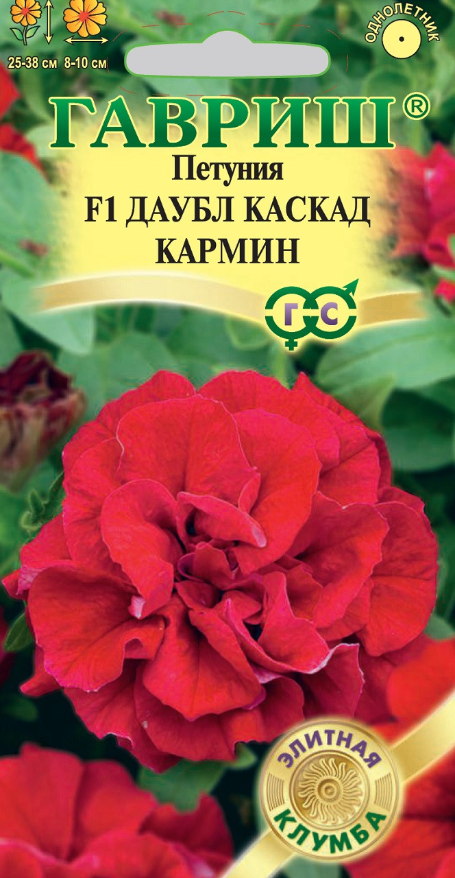 Петуния даубл каскад бургунди