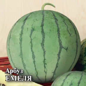 Семена Арбуз Емеля, 1000шт, Гавриш, Фермерское подворье
