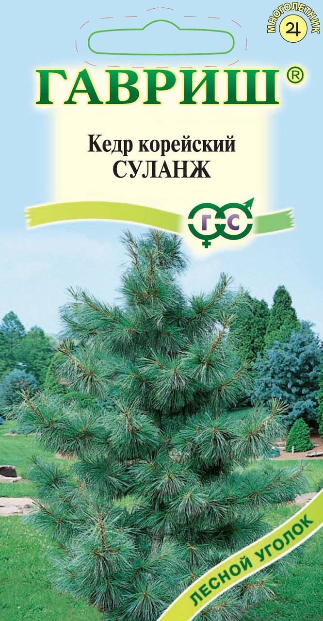 ✓ Семена Кедр корейский Суланж, 3шт, Гавриш, Лесной уголок по цене 47,60  руб. ◈ Большой выбор ◈ Купить по всей России ✓ Интернет-магазин Гавриш ☎  8-495-902-77-18