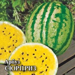 Семена Арбуз Сюрприз, 50г, Гавриш, Фермерское подворье