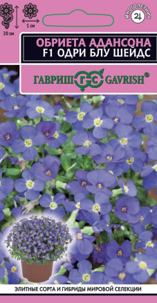 Семена Обриета Адансона Одри Блу шейдс F1, 10шт, Гавриш