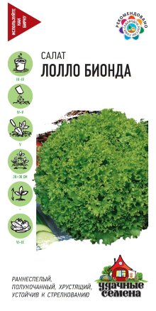 семена салата лолло бионда. Смотреть фото семена салата лолло бионда. Смотреть картинку семена салата лолло бионда. Картинка про семена салата лолло бионда. Фото семена салата лолло бионда семена салата лолло бионда. Смотреть фото семена салата лолло бионда. Смотреть картинку семена салата лолло бионда. Картинка про семена салата лолло бионда. Фото семена салата лолло бионда