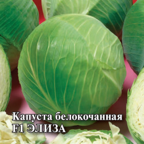 Семена Капуста белокочанная Элиза F1, 250шт, Гавриш, Фермерское подворье, Sakata
