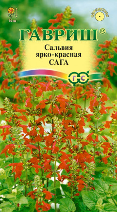 Семена Сальвия ярко-красная Сага, 0,05г, Гавриш, Цветочная коллекция