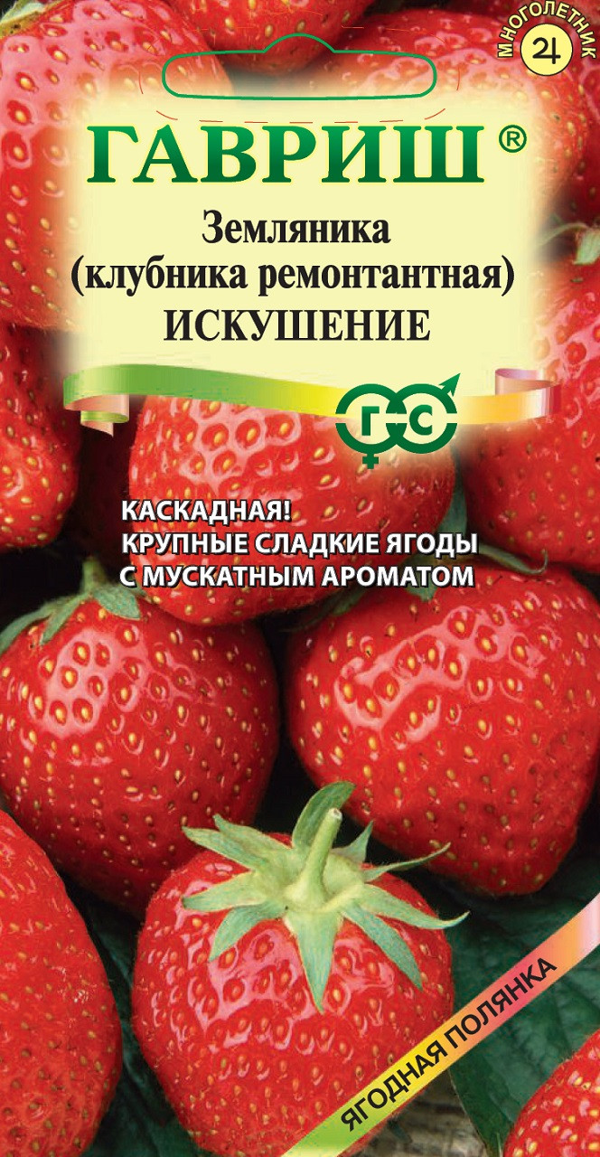 ✓ Семена Земляника (Клубника) Искушение, каскадная, ремонтантная , 10шт,  Гавриш, Ягодная полянка по цене 156,80 руб. ◈ Большой выбор ◈ Купить по  всей России ✓ Интернет-магазин Гавриш ☎ 8-495-902-77-18