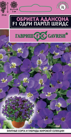 Семена Обриета Адансона Одри Парпл шейдс F1, 10шт, Гавриш
