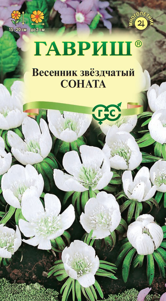 Купить Семена Многолетников В Интернет Магазине