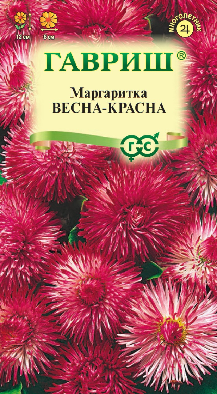 Маргаритки Семена Купить