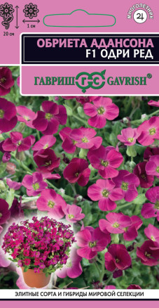 Семена Обриета Адансона Одри Ред F1, 10шт, Гавриш