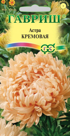 Семена Астра Кремовая, пионовидная, 0,3г, Гавриш, Цветочная коллекция